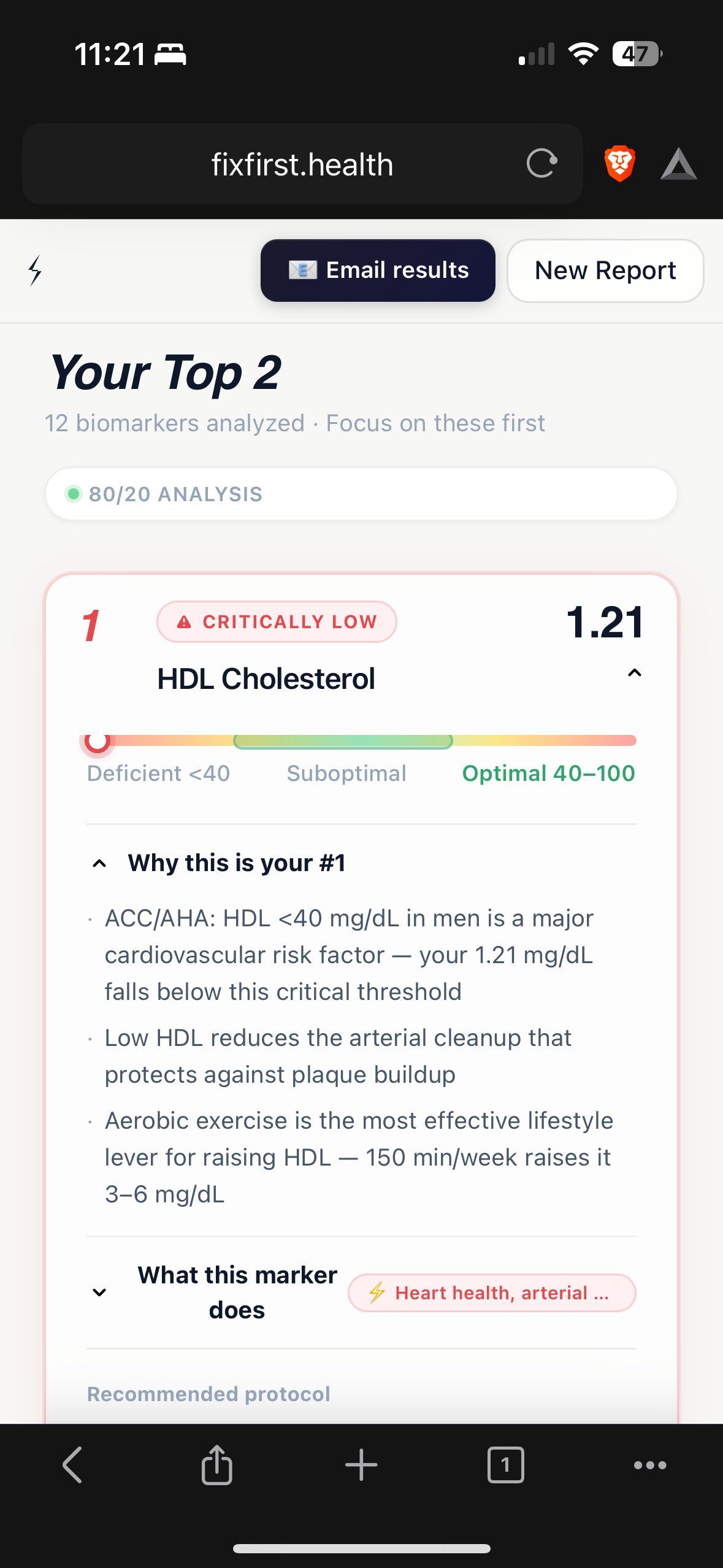 Blood Test Analyzer screenshot