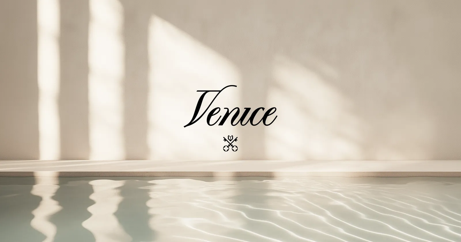 Venice AI screenshot